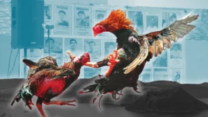 Thống Lĩnh Đá Gà Sabong Good88 Với Chiến Thắng Đỉnh Cao