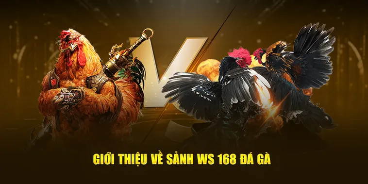 Thắng Đậm Đá Gà WS168 Good88 Với Trận Đấu Kịch Tính